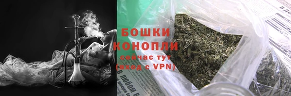 ГАЛЛЮЦИНОГЕННЫЕ ГРИБЫ Баксан