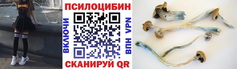Псилоцибиновые грибы MAGIC MUSHROOMS  блэк спрут ССЫЛКА  Сосновый Бор  наркошоп 